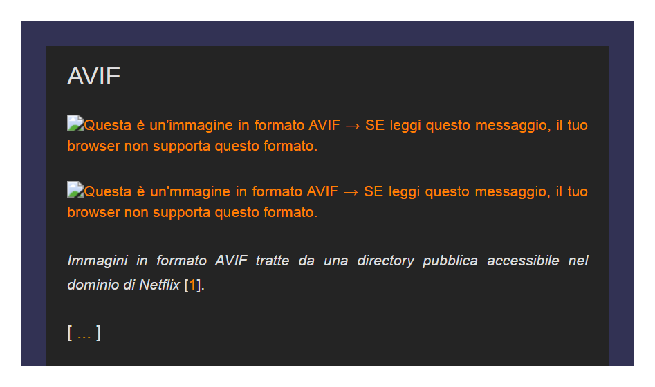 Un errore di visualizzazione dell'immagine sul browser Vivaldi, e la descrizione dell'immagine con l'attributo alt